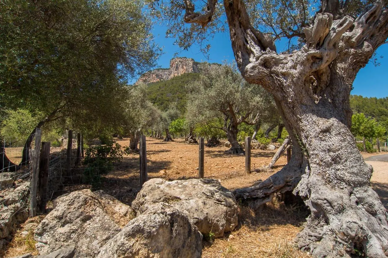 Casa rural Agroturismo Son Penyaflor Alaró España
